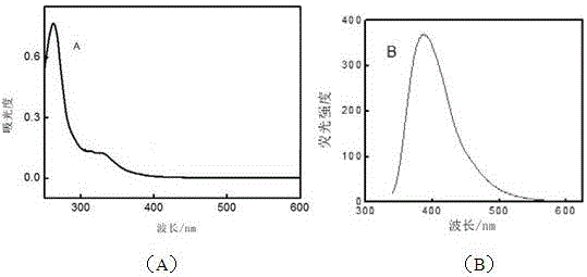 Fluorescent Biosensor for Detection of Vascular Endothelial Growth Factor in Breast Cancer