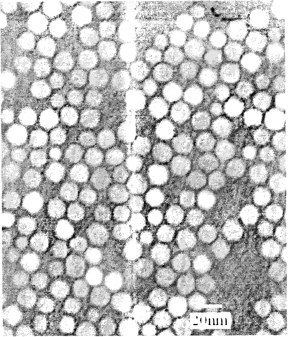 Method for preparing monodisperse Fe3O4 magnetic nanoparticles