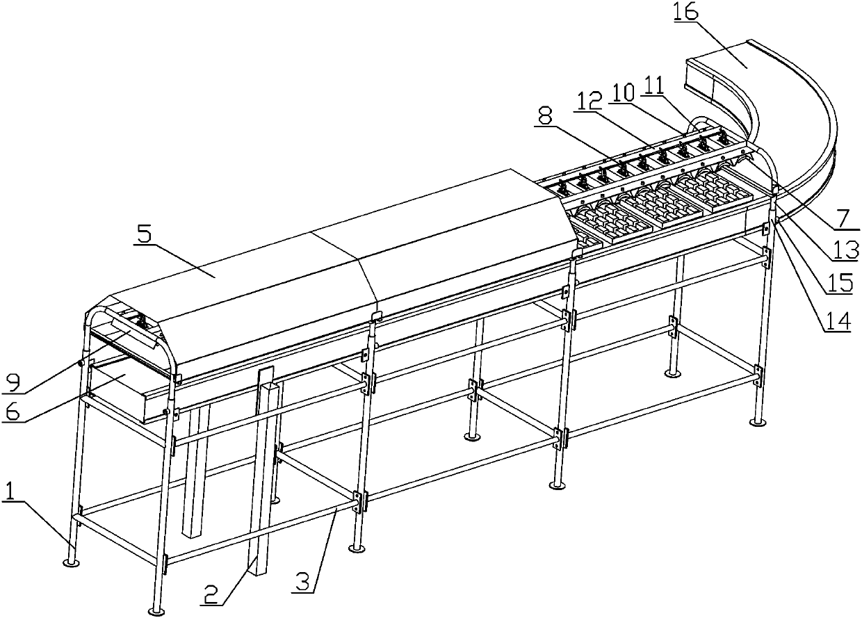 Bio-fertilizer drying transmission production line