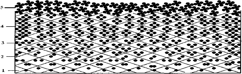 Gas diffusion layer with gradient hole structure and preparation and applications thereof