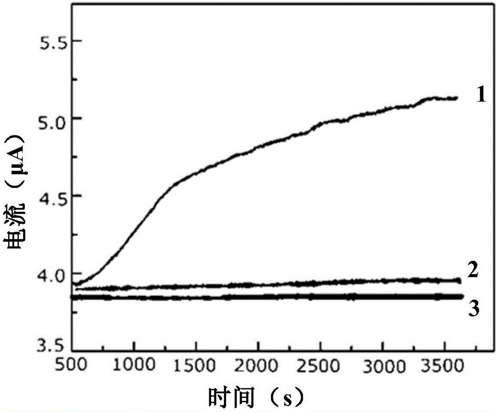 Method for in-situ and real-time detection of concentration of hydrogen peroxide in living cells