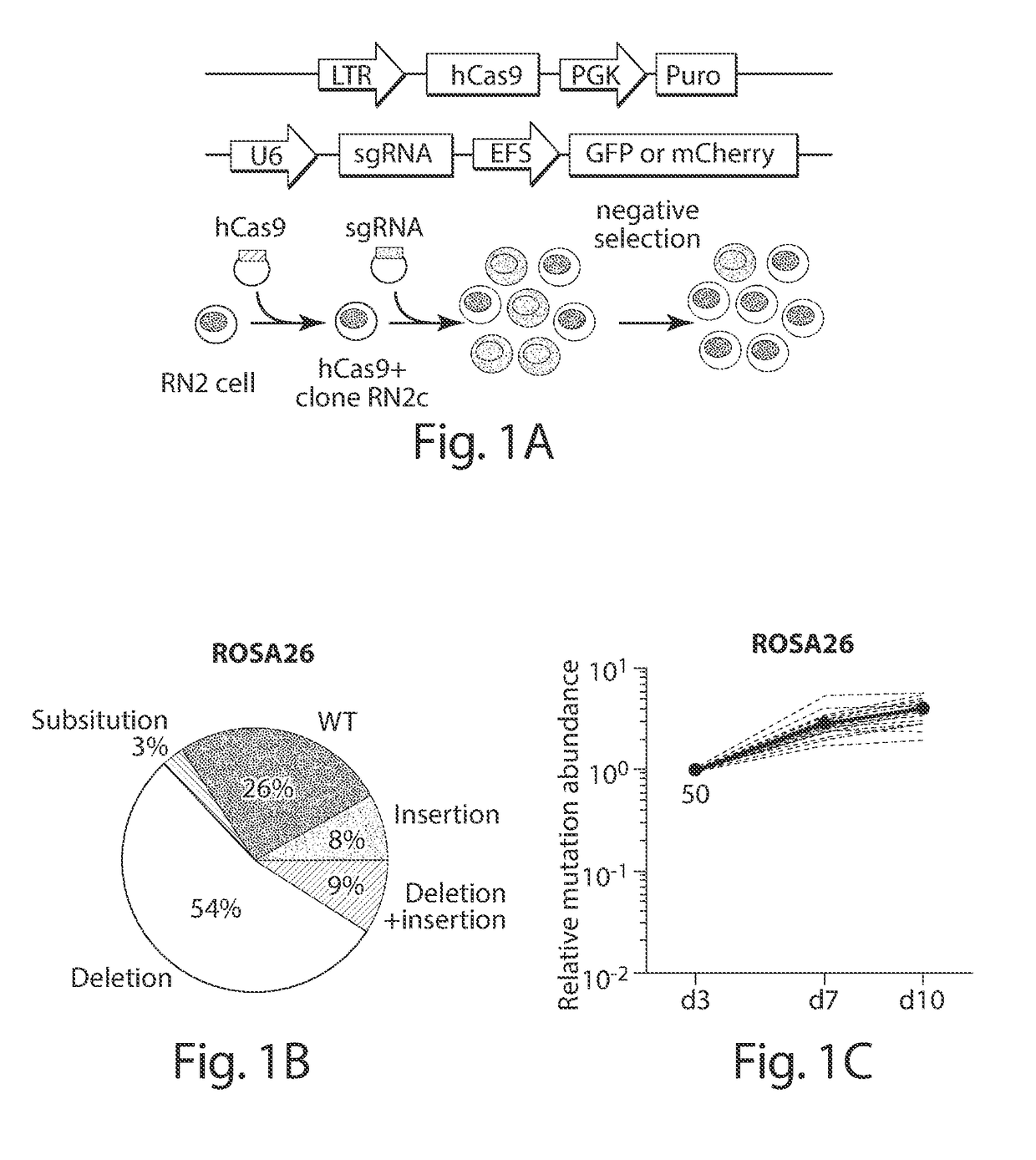 Methods of identifying essential protein domains