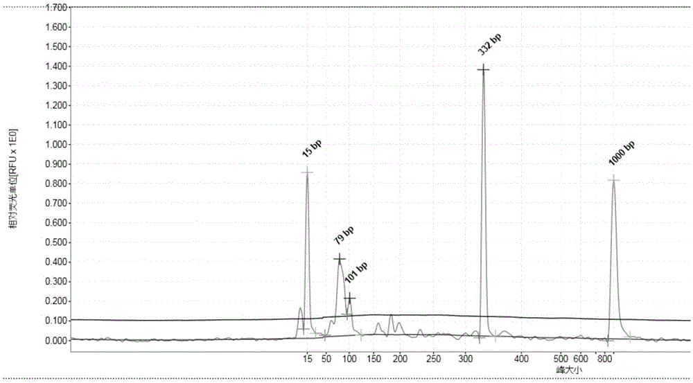 Multiple PCR detection kit for 11 intestinal pathogen nucleic acid and application of detection kit