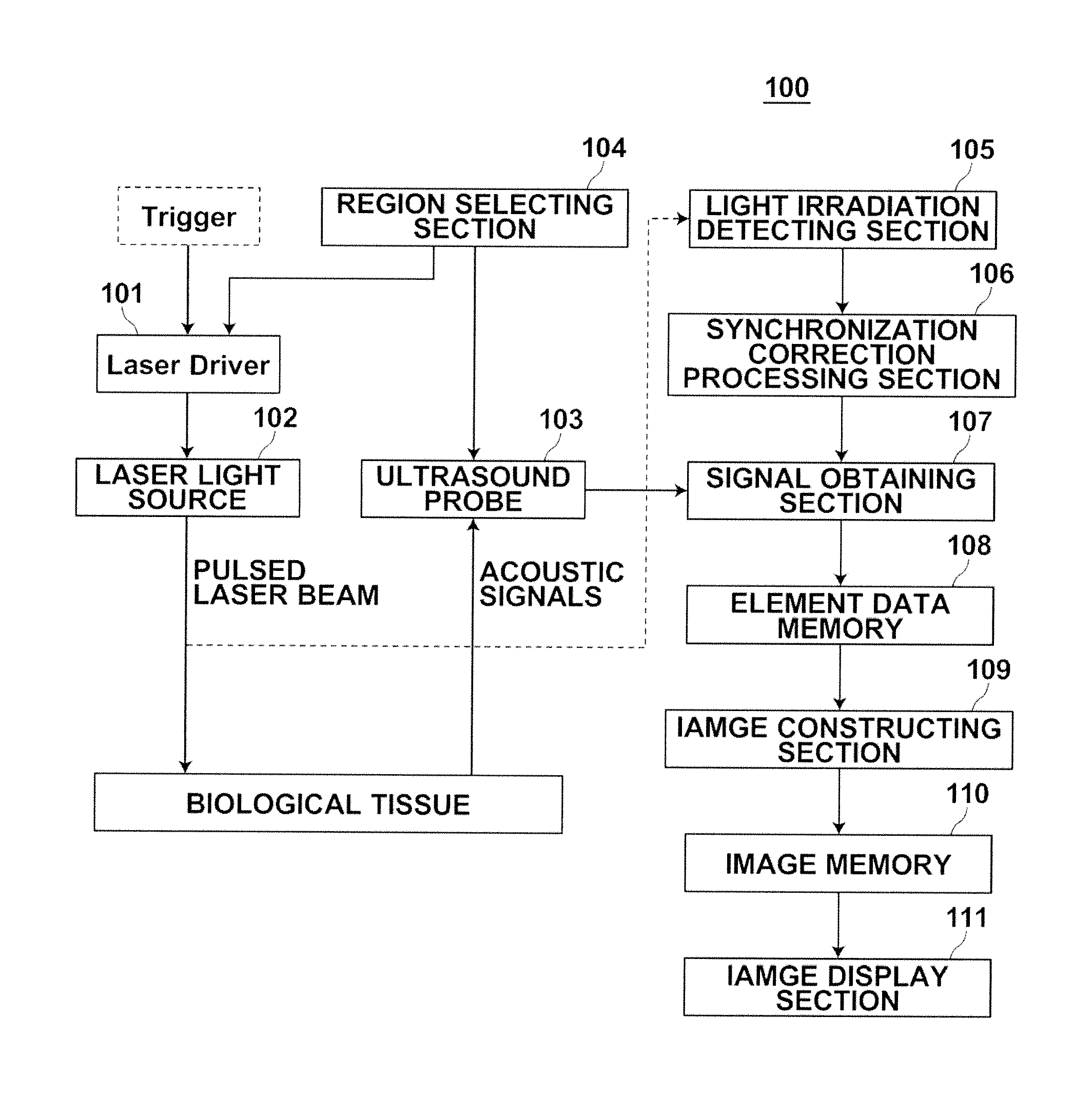 Photoacoustic imaging apparatus and photoacoustic imaging method