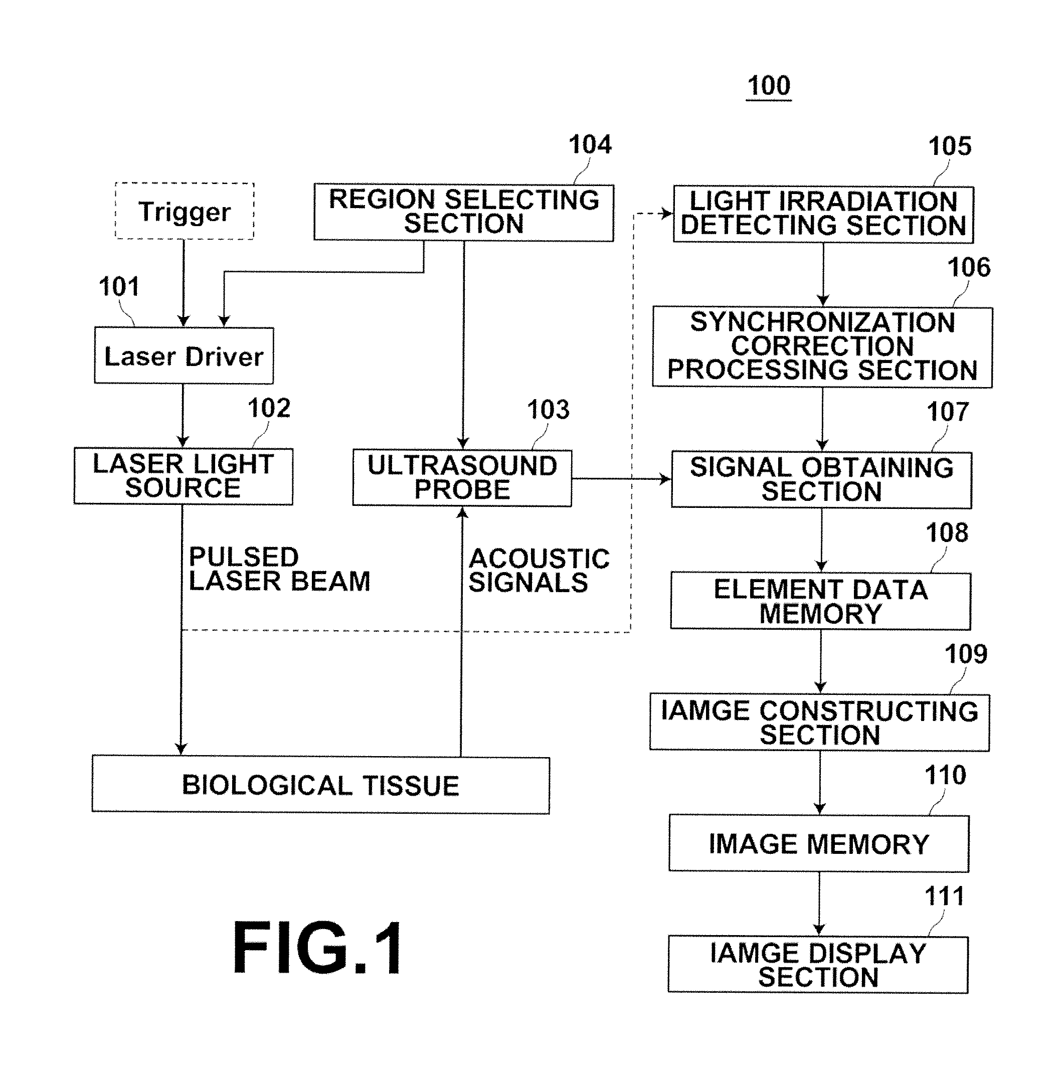 Photoacoustic imaging apparatus and photoacoustic imaging method