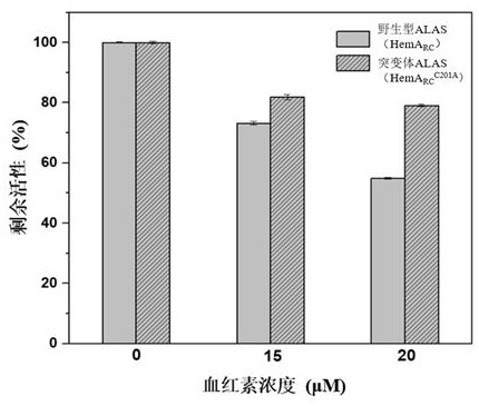 Rhodobacter capsulatus 5-aminolevulinic acid synthetase mutant and application thereof