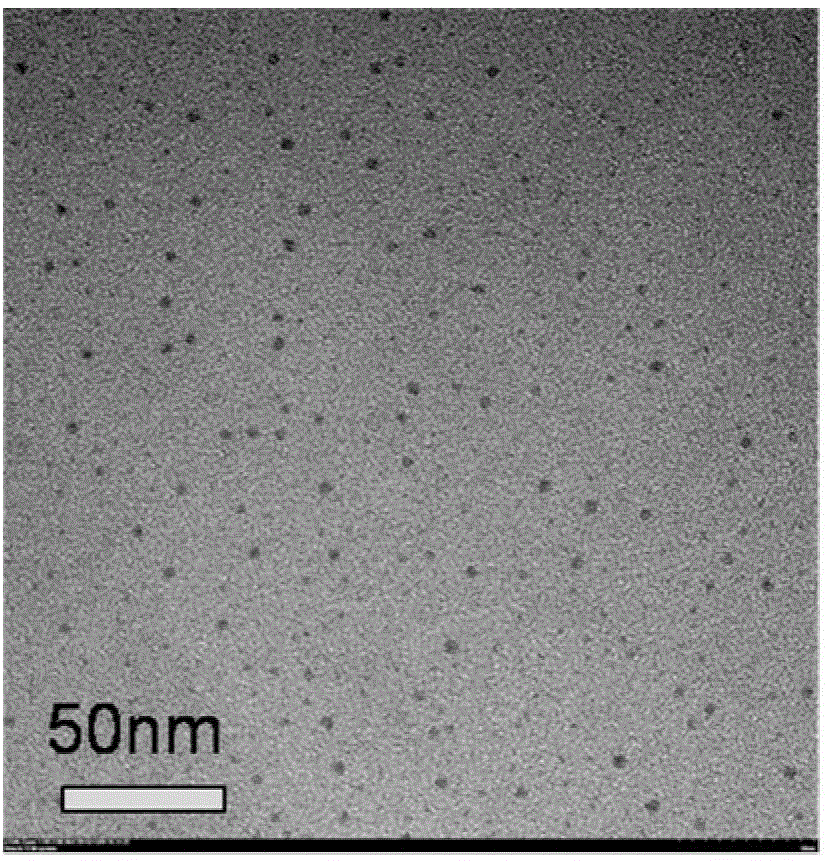 CdSe/ZnS quantum dot-modified quercetinantibacterial agent and preparation method thereof