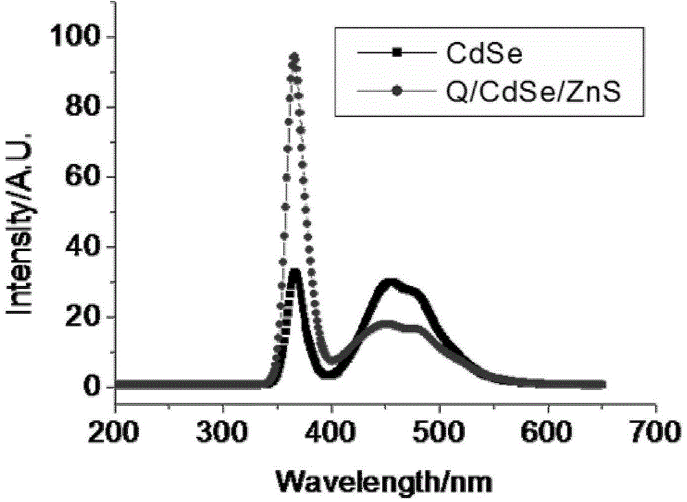 CdSe/ZnS quantum dot-modified quercetinantibacterial agent and preparation method thereof