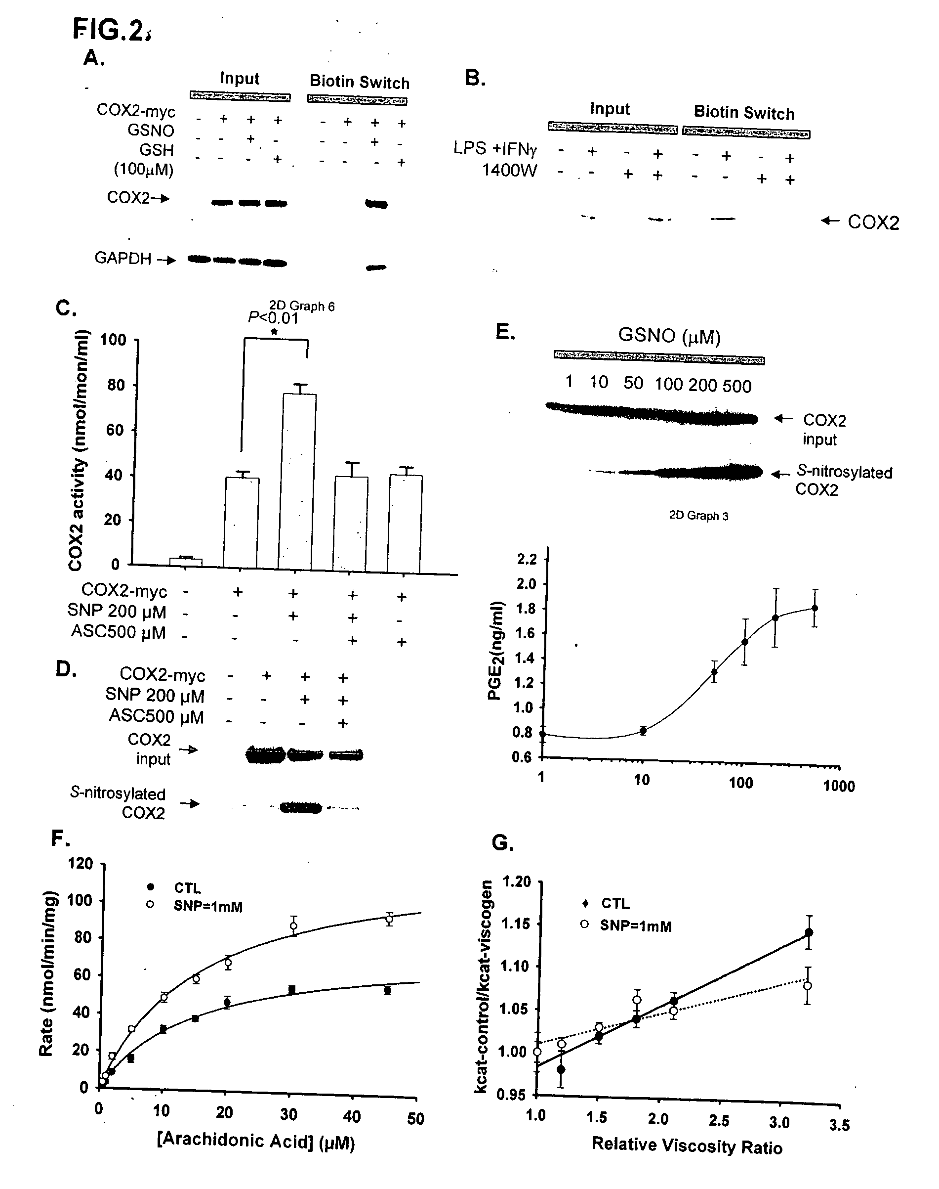 Inducible nitric oxide synthase binds, S-nitrosylates, and activates cyclooxygenase-2