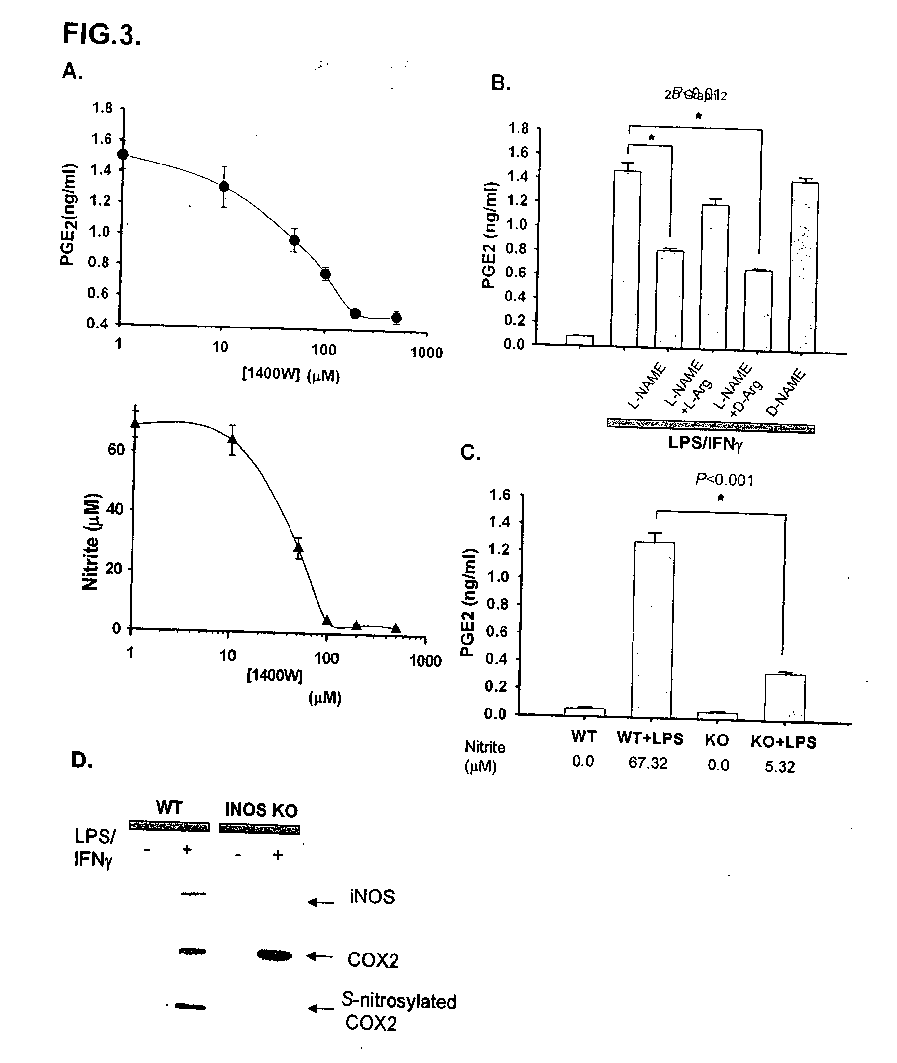 Inducible nitric oxide synthase binds, S-nitrosylates, and activates cyclooxygenase-2