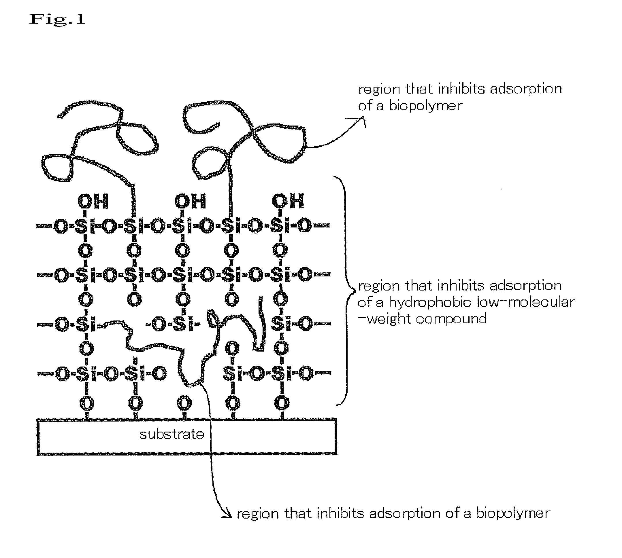 Biochemical instrument having surface that inhibits nonspecific adsorption