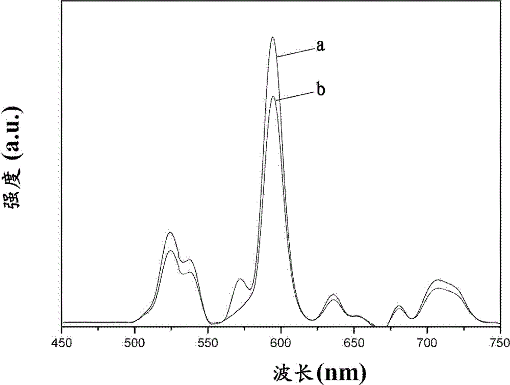 Luminous pearl nucleus and preparation method thereof as well as method for cultivating luminous pearls