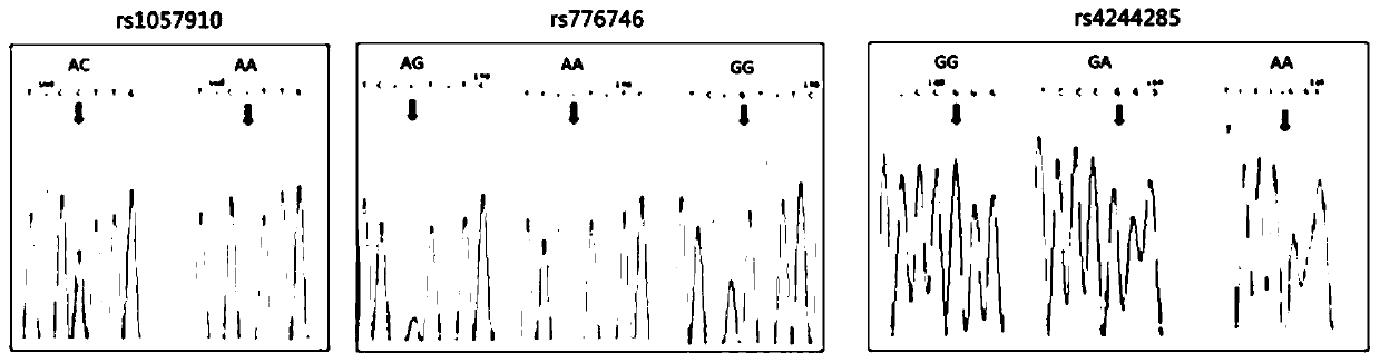 Individualized-medication gene detection system kit for cardiovascular diseases and application of individualized-medication gene detection system kit for cardiovascular diseases