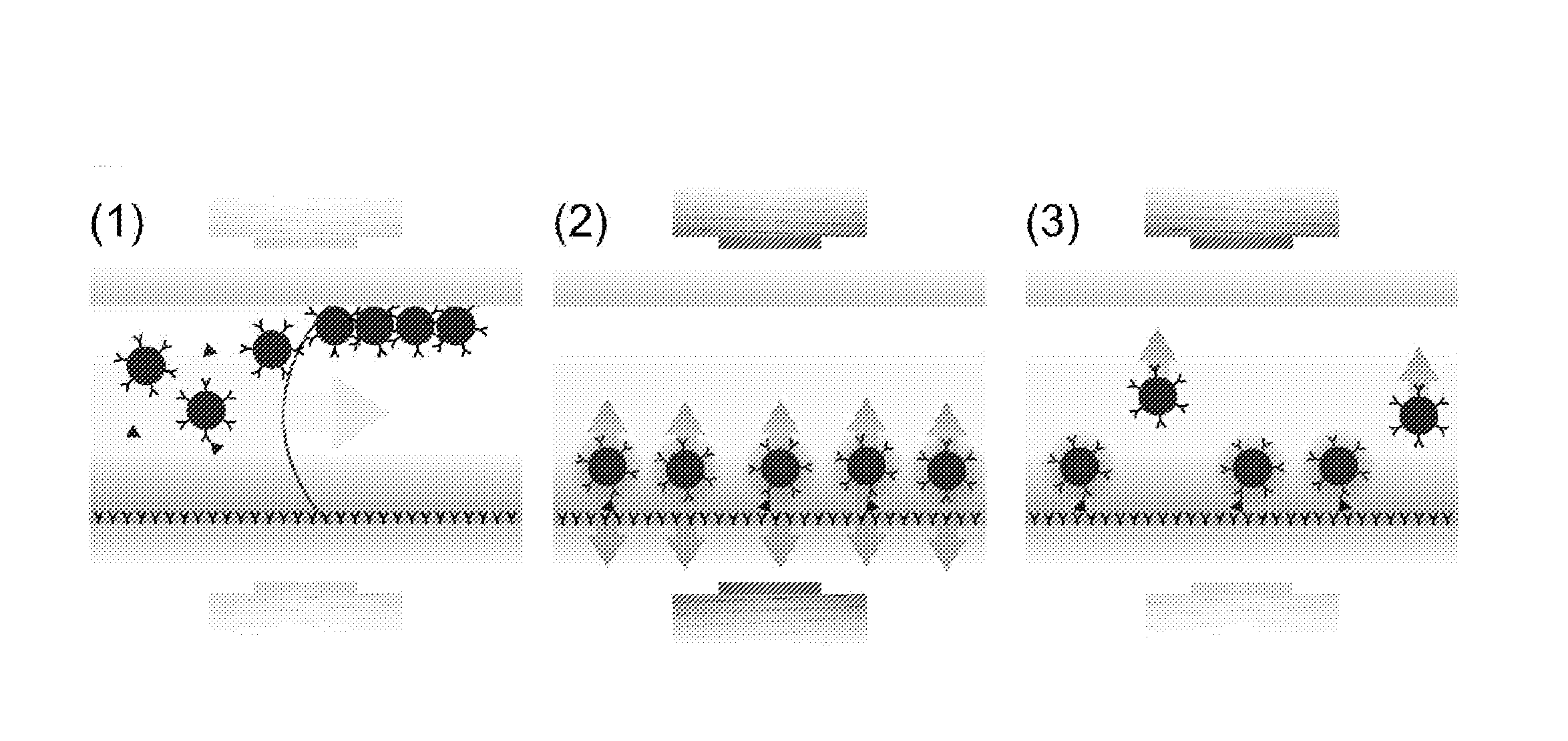 Particle repulsion to enhance surface contact in magnetic particle immunoassays