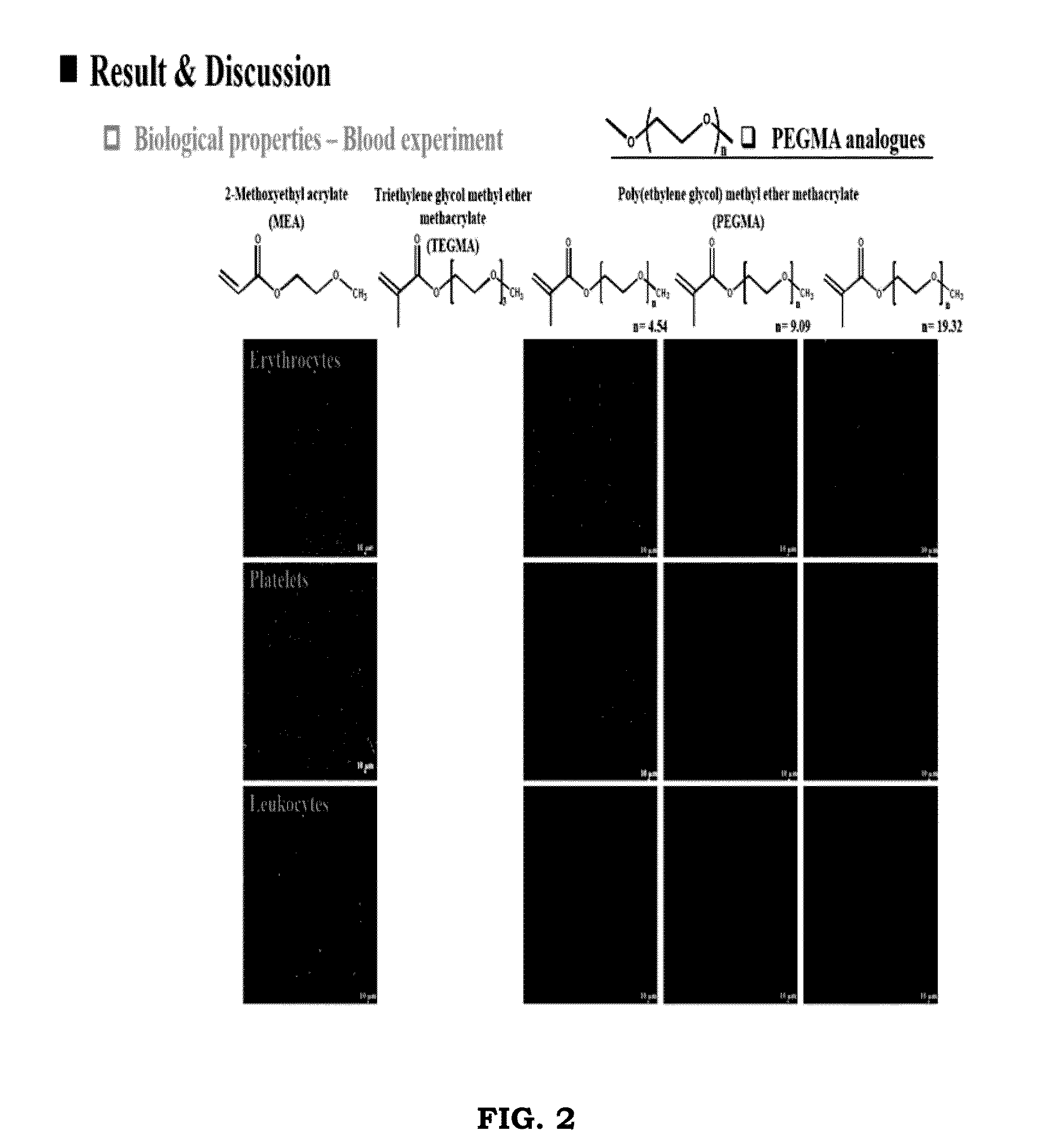 Amine Modifying Material and Application thereof