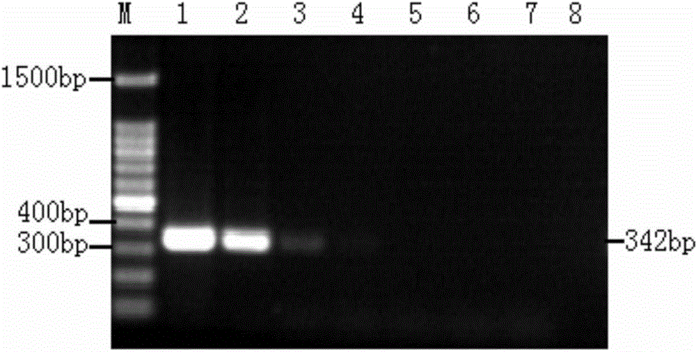 Reagent kit for detecting H4 subtype avian influenza virus based on nested RT-PCR