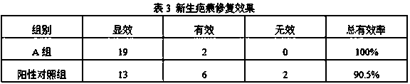 Scar repairing material and preparation method thereof