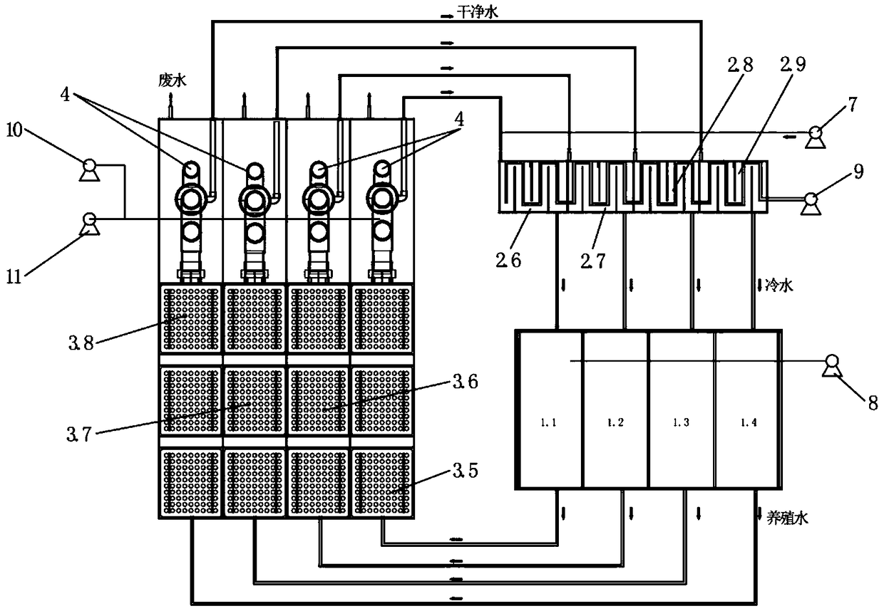 Seafood temporary-culture water circulation purification system and seafood temporary-culture machine using same