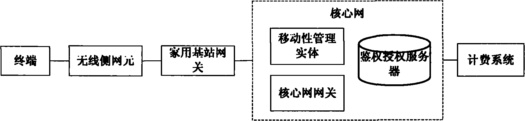 Methods and system for acquiring charging information of local internet protocol (IP) access