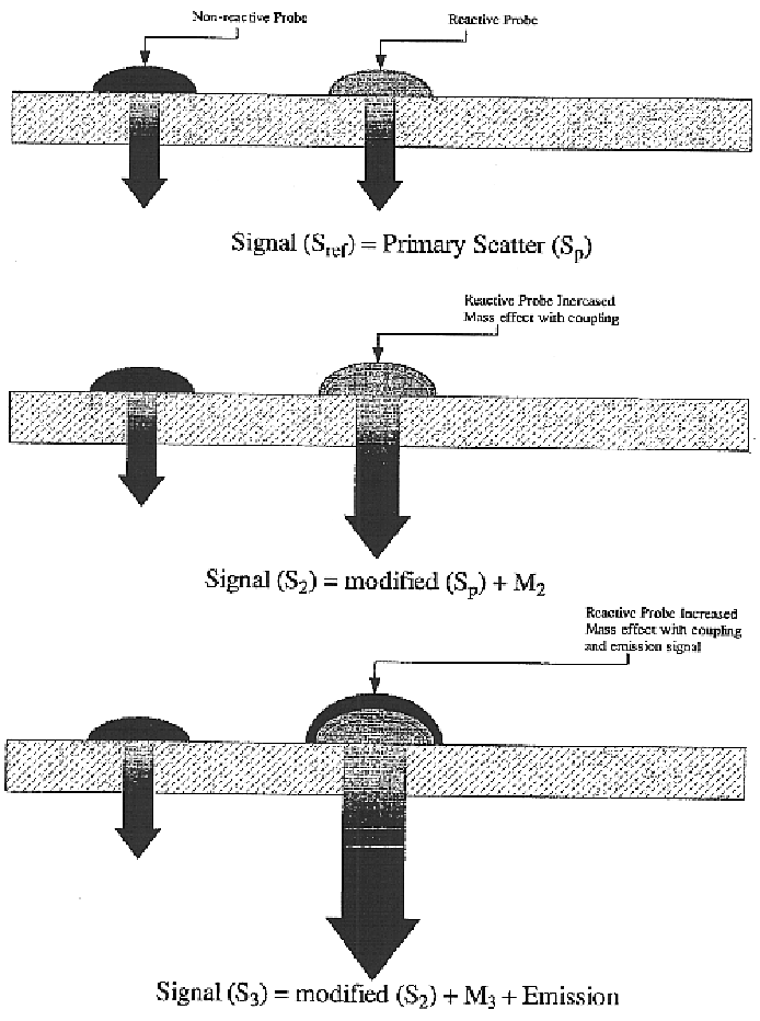 Translucent solid matrix assay device for microarray analysis