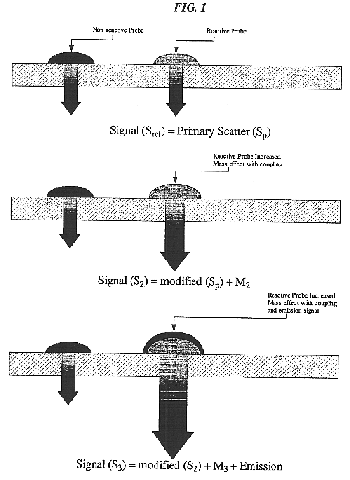 Translucent solid matrix assay device for microarray analysis