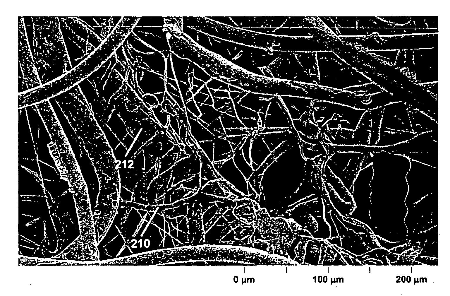 Biaxially stretchable outer cover for an absorbent article