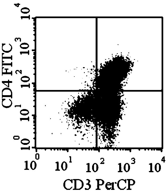 CD20 chimeric antigen receptor T lymphocyte with apoptosis-inducing capability and carrying detecting tag and application of CD20 chimeric antigen receptor T lymphocyte