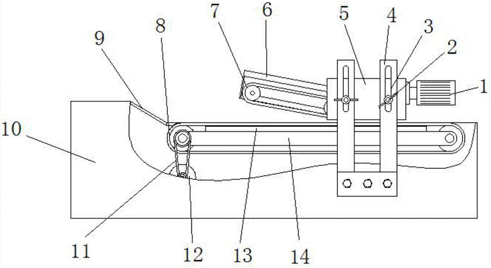 Chopping machine for vegetable processing