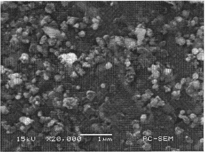 Application of nickel-molybdenum carbide in production of anode of microbial fuel cell