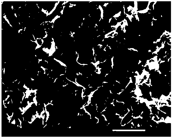 Preparation method of CO2-adsorbing shrimp-shell-base nitrogenous activated carbon