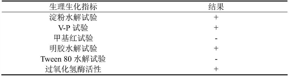 Saline-alkaline-tolerant phosphate solubilizing bacterium and application thereof