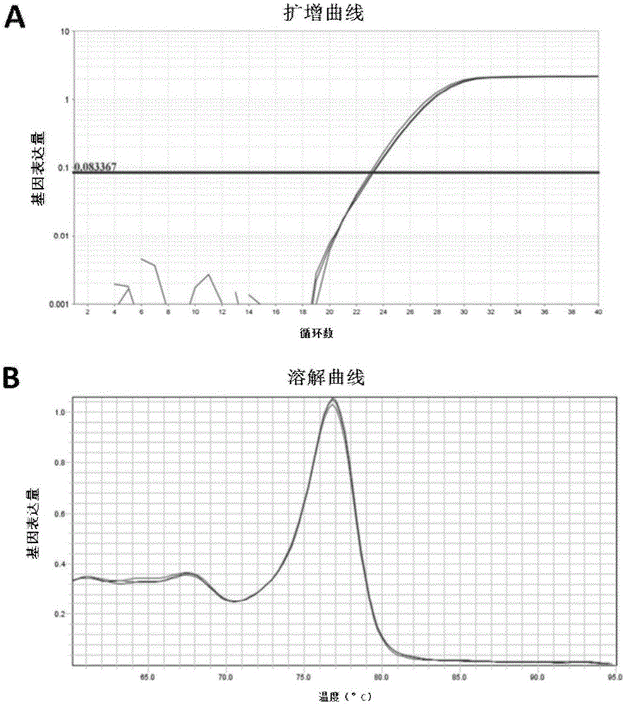 Method for separating different kinds of single cells in ovary