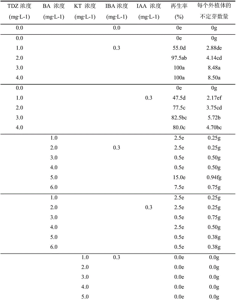 Screening method for pear homologous transgene functional verification material