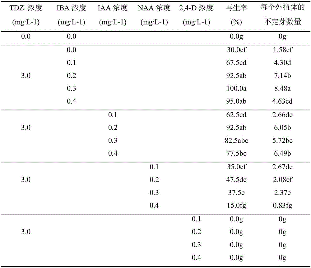 Screening method for pear homologous transgene functional verification material