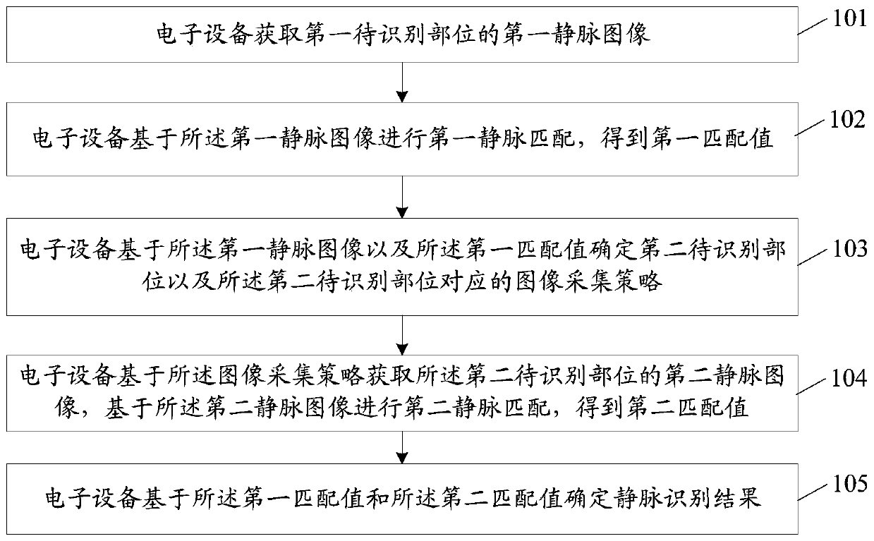 Vein recognition method and related product