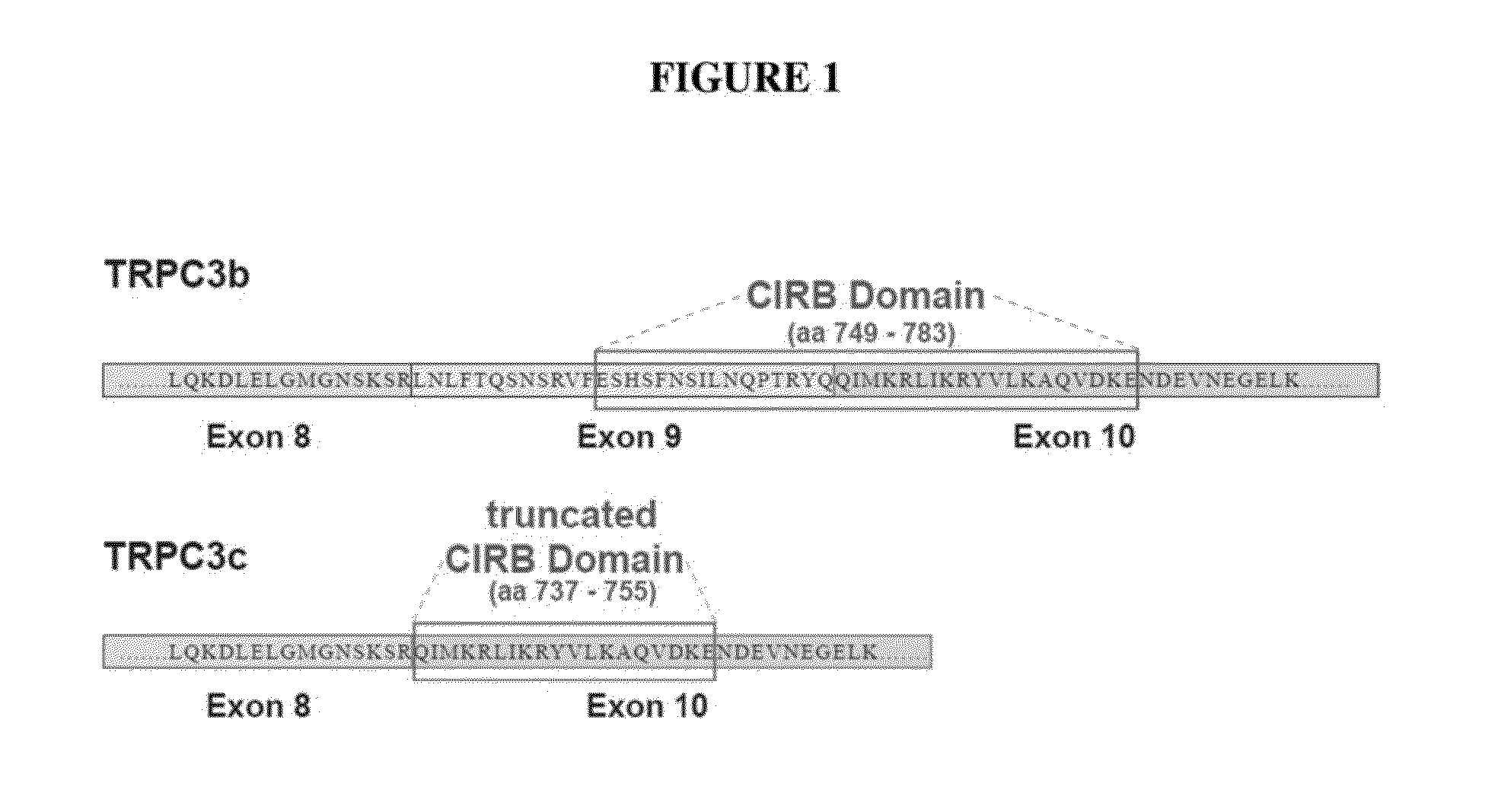 Methods for inhibiting neuron apoptosis and necrosis