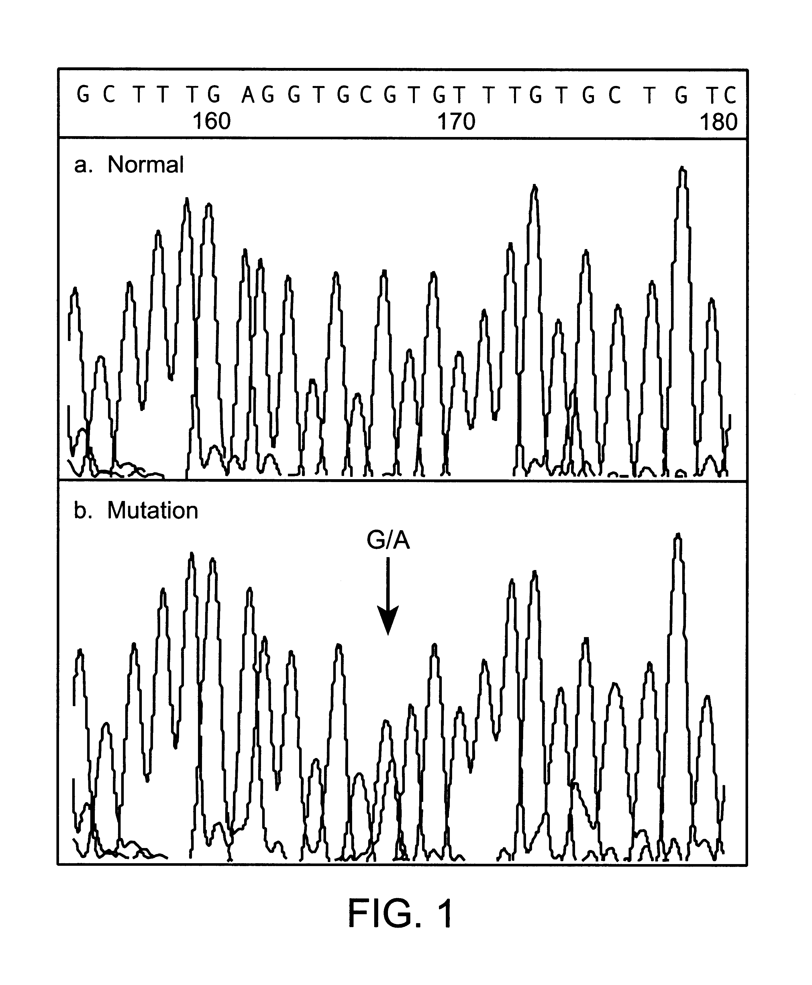 Method for determining DNA nucleotide sequence