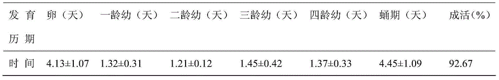 Propylaea japonica artificial breeding, breed conservation and propagation production method