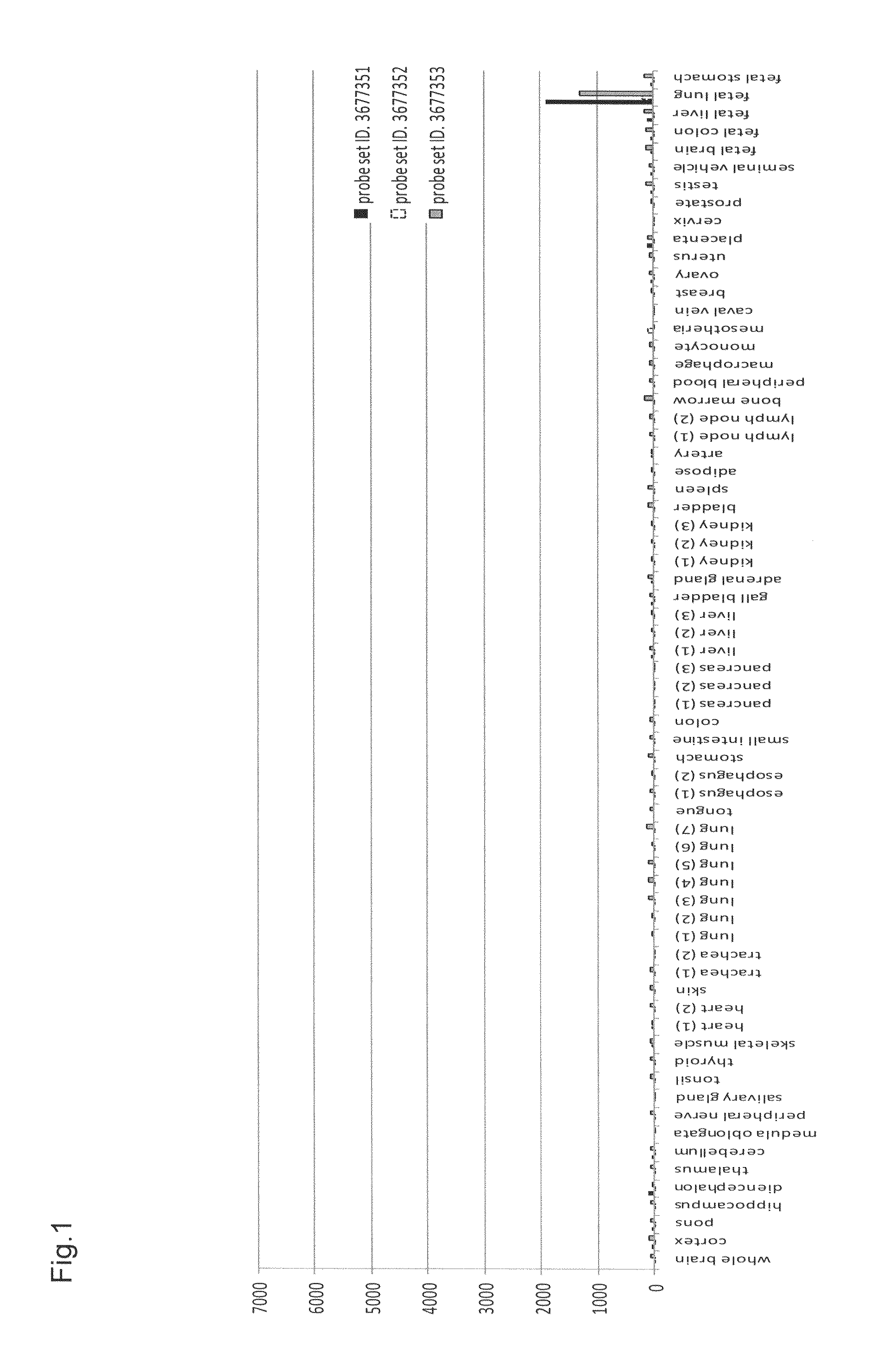 Anti-CLDN6 antibody