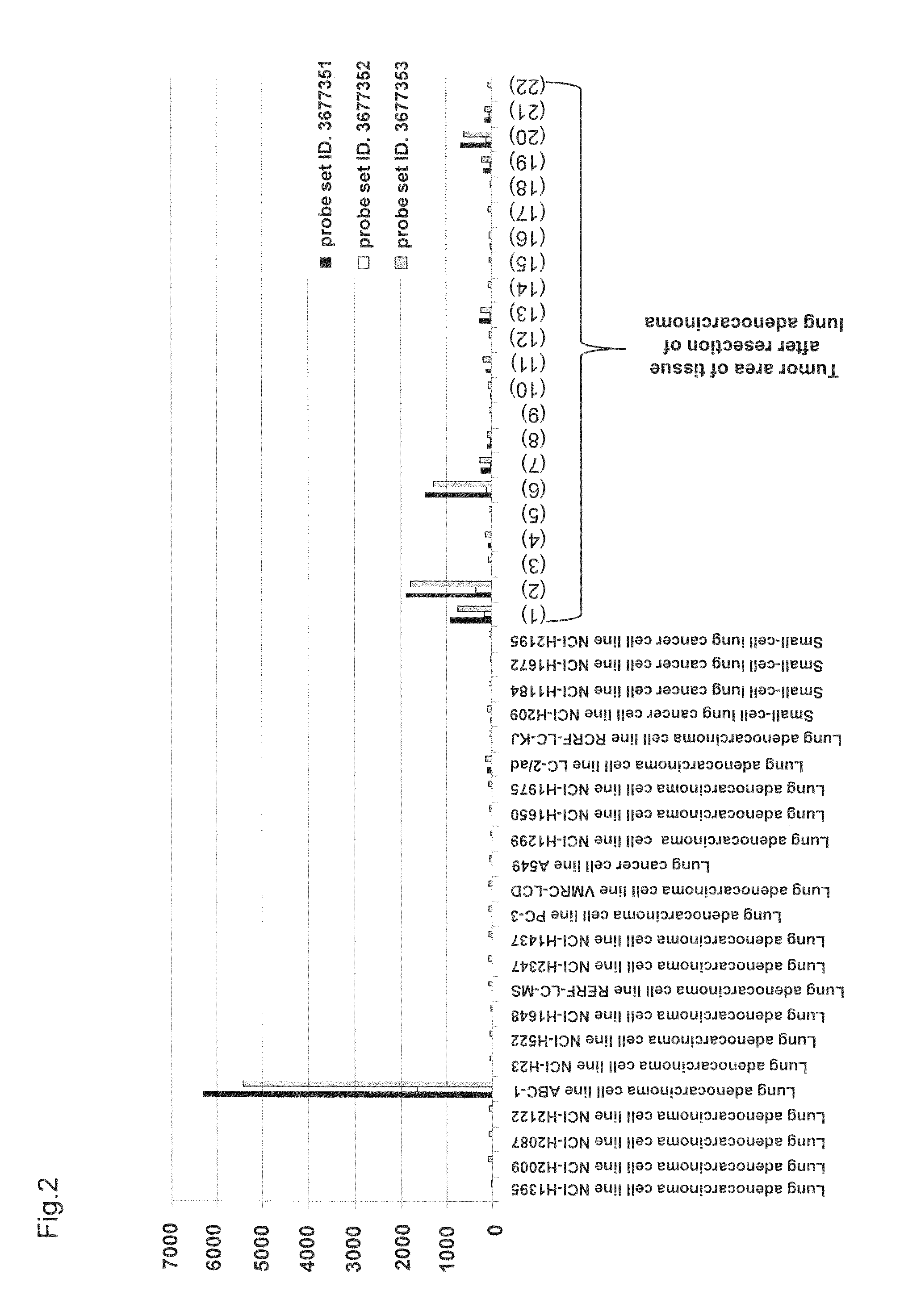 Anti-CLDN6 antibody