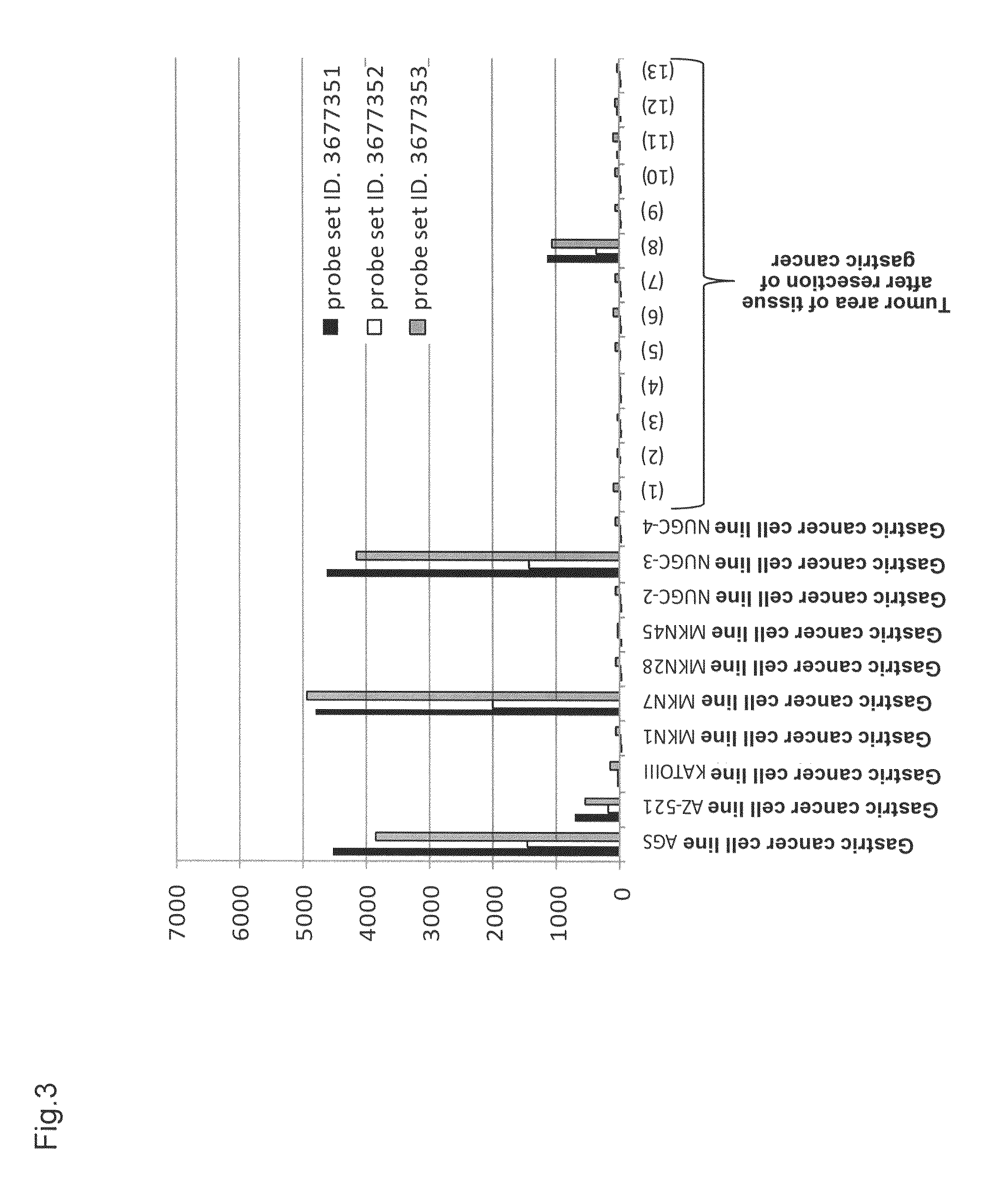 Anti-CLDN6 antibody