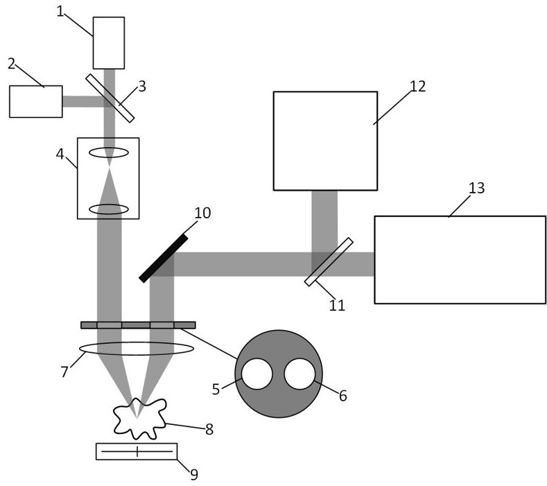 Split-pupil confocal discrete fluorescence spectroscopy and fluorescence lifetime detection method and device