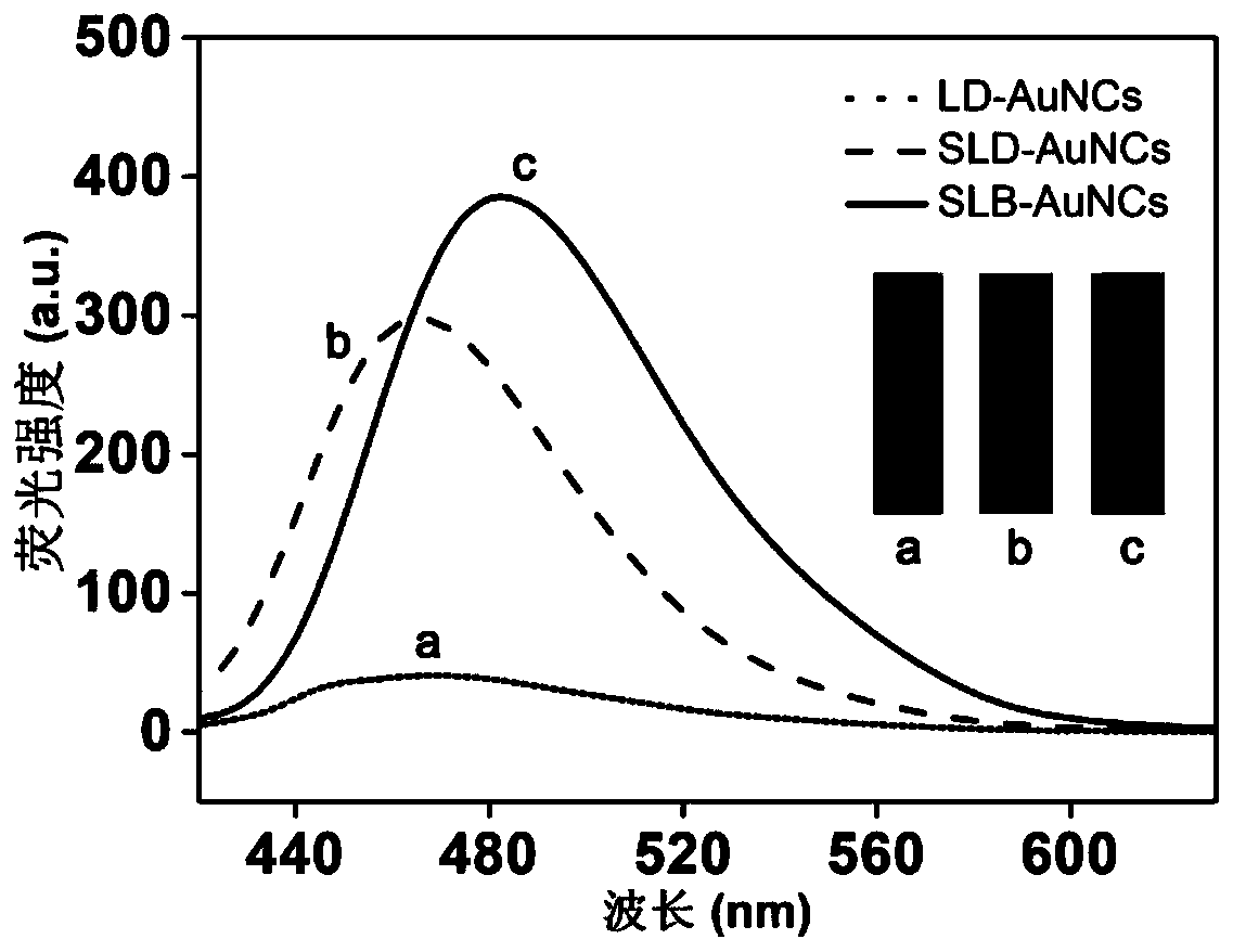 Preparation method of fluorescent gold nanocluster, prepared fluorescent gold nanocluster and application of fluorescent gold nanocluster