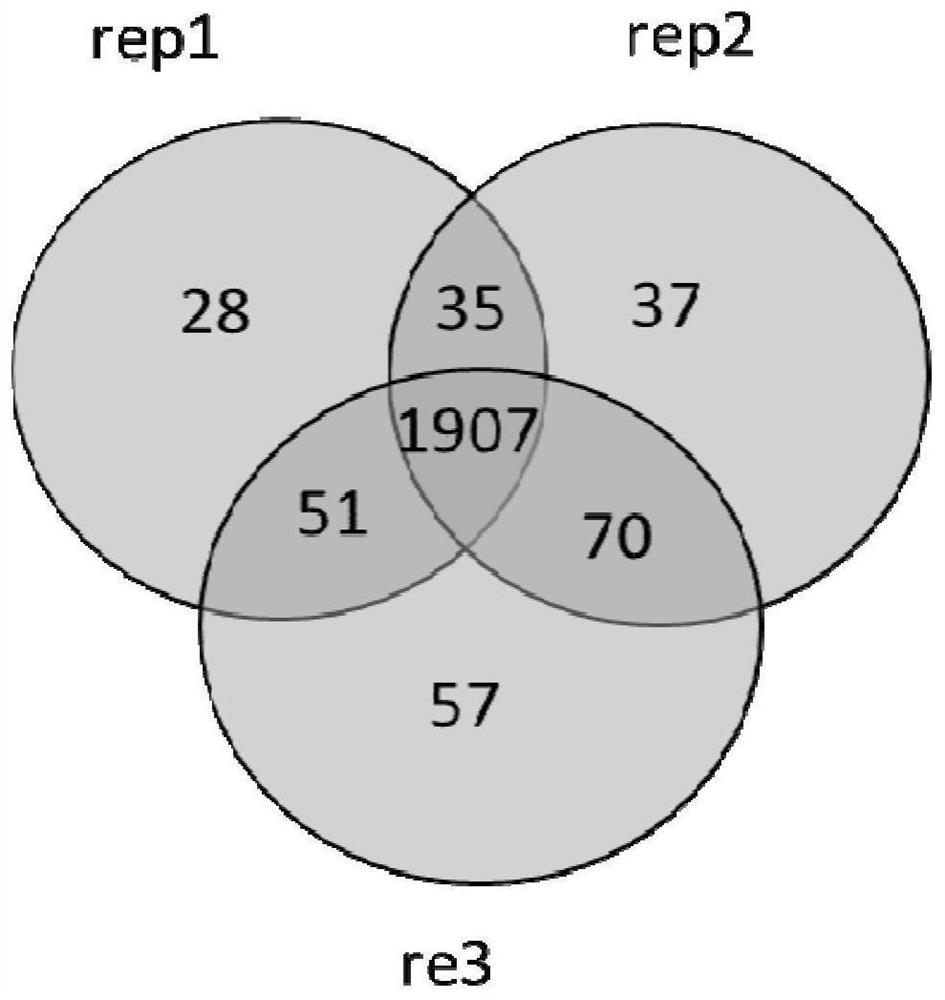 Method for increasing mass spectrum identification number of protein and/or peptide fragment group by using polystyrene material