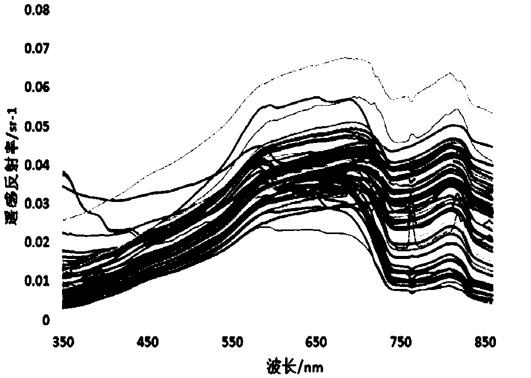 Remote-sensing calculation method of long-term variation of suspended sediments of strong-tide high-turbidity estuary