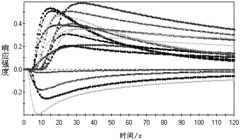 Method of classification and identification of fish sauce