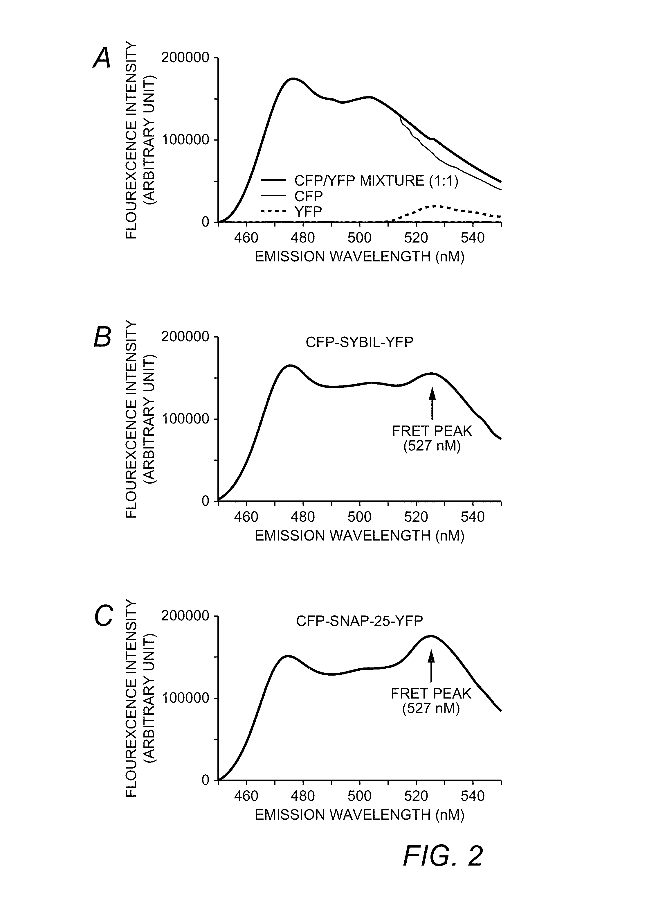 Resonance energy transfer assay with cleavage sequence and spacer