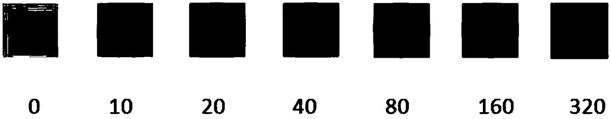 Reagent for detecting urine creatinine and application of reagent