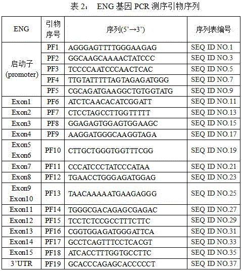 Primer group for detecting ENG gene mutation, purpose of primer group and kit containing primer group