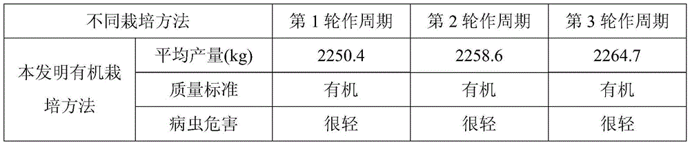 Organic cultivation and rotation method for muskmelons, rice and water chestnuts in spring and summer